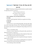 Tải Nghị luận: Ta hay chê rằng cuộc đời méo mó - Dàn ý + Bài văn mẫu nghị luận văn học lớp 12