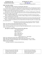 Tải Đề thi học kì 2 môn Ngữ văn lớp 11 trường THPT Đa Phúc, Hà Nội - Đề kiểm tra học kỳ II môn Văn lớp 11 có đáp án