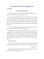 Tải Đề ôn thi học kì 2 môn Tiếng Việt lớp 5 - Đề 2 - Đề kiểm tra học kì 2 lớp 5 môn Tiếng Việt