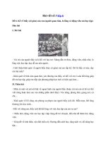 Tải 08 bài văn Kể về thầy cô giáo của em (người quan tâm, lo lắng và động viên em học tập) - Bài viết số 3 lớp 6 đề 6