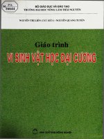 Giáo trình Vi sinh vật học đại cương: Phần 1 - Nguyễn Thị Liên (Chủ biên),  Nguyễn Quang Tuyên