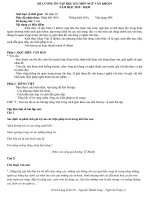 ĐỀ CƯƠNG ÔN TẬP HK I -2019-2020-VĂN 9