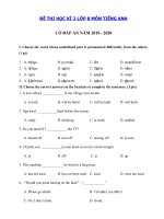 Tải Đề thi tiếng Anh lớp 8 học kì 2 năm 2019 - 2020 số 6 - Đề thi học kì 2 lớp 8 môn tiếng Anh có đáp án