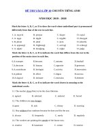 Tải Đề ôn thi vào lớp 10 chuyên Tiếng Anh năm học 2019 - 2020 số 12 - Đề thi vào lớp 10 môn Tiếng Anh chuyên năm 2019