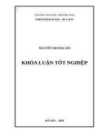 Giải pháp marketing thu hút khách du lịch quốc tế của tản đà spa resort, hà nội