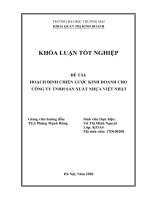 Hoạch định chiến lược kinh doanh cho công ty TNHH sản xuất nhựa việt nhật 