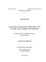 (Luận án tiến sĩ) giải pháp tài chính phát triển bền vững các khu công nghiệp tỉnh vĩnh phúc 