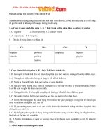 Tải Giải sách bài tập Test yourself 4 Tiếng Anh lớp 8 chương trình mới - Giải Tự kiểm tra 4 tiếng Anh lớp 8 Thí điểm