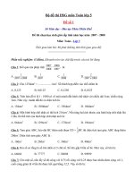 Tải Bộ đề thi học sinh giỏi lớp 5 môn Toán cấp tỉnh - Đề thi HSG môn Toán lớp 5 có đáp án