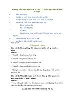 Đáp án Mô đun 2 Tiểu học tất cả các môn đầy đủ cả trắc nghiệm và tự luận chi tiết