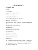 Tải Tả cô giáo lớp 5 siêu hay (7 mẫu) - Bài văn tả cô giáo đạt điểm 9, 10