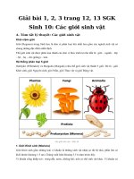 Tải Giải bài tập trang 12, 13 SGK Sinh học lớp 10: Các giới sinh vật - Giải bài tập môn Sinh học lớp 10