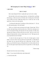 Tải Đề ôn thi học kì 2 môn Tiếng Việt lớp 5 - Đề 5 - Đề kiểm tra học kì 2 lớp 5 môn Tiếng Việt