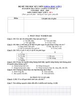 Tải Bộ đề thi học kì 2 lớp 5 môn Khoa học năm học 2018 - 2019 - Đề thi môn Khoa học lớp 5 học kỳ 2 theo Thông tư 22 có đáp án