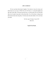 Giải pháp mở rộng thị trường xuất khẩu hàng hoá của công ty TNHH TM và DV TH sunway 