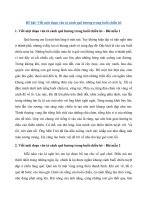 Tải Viết một đoạn văn tả cảnh quê hương trong buổi chiều hè - 9 bài văn mẫu lớp 6