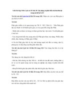 Tải Giải bài tập SGK Lịch sử 10 bài 20 - Xây dựng và phát triển văn hóa dân tộc trong các thế kỉ X-XV