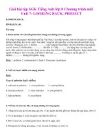 Tải Giải bài tập SGK Tiếng Anh lớp 8 Chương trình mới Unit 7: LOOKING BACK, PROJECT - Để học tốt Tiếng Anh lớp 8 theo từng Unit