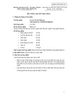 Đề cương chi tiết học phần Cơ sở Trí tuệ nhân tạo (Introdution to Artificial Intelligent)