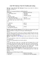 Tải Giải bài tập VBT Sinh học lớp 9 bài 54: Ô nhiễm môi trường - Giải bài tập môn Sinh học lớp 9