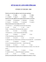 Tải Đề thi tiếng Anh lớp 8 học kì 2 năm 2019 - 2020 số 5 - Đề thi học kì 2 lớp 8 môn tiếng Anh có đáp án