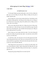 Tải Đề ôn thi học kì 2 môn Tiếng Việt lớp 5 - Đề 3 - Đề kiểm tra học kì 2 lớp 5 môn Tiếng Việt