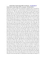 Tải Thuyết minh về ngôi trường THPT em đang học - 2 bài Văn mẫu lớp 10