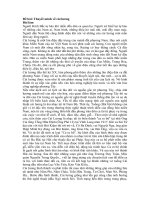 Tải Thuyết minh về cải lương - Bài văn mẫu lớp 10