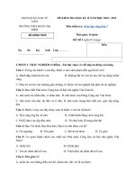 Tải Đề thi GDCD 7 học kì 2 có đáp án trường THCS Đoàn Thị Điểm năm 2019 - Đề thi học kì 2 lớp 7 môn GDCD có đáp án và ma trận