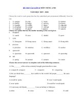 Tải Đề ôn thi vào lớp 10 chuyên Tiếng Anh năm học 2019 - 2020 số 2 - Đề tuyển sinh lớp 10 chuyên Anh có đáp án