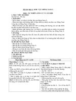 Tải Giáo án Địa lý 11 bài 11: Khu vực Đông Nam Á - Tự nhiên, dân cư và xã hội - Giáo án điện tử môn Địa lý lớp 11