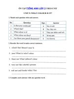 Tải Bài tập ngữ pháp tiếng Anh lớp 3 Unit 9 What colour is it? - Ôn tập tiếng Anh 3 theo từng Unit có đáp án