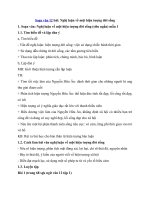 Tải Soạn bài Nghị luận về một hiện tượng đời sống ngắn gọn - Soạn bài lớp 12