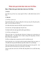 Tải Phân tích quá trình thức tỉnh của Chí Phèo - Bài văn mẫu lớp 11