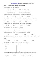 Tải Đề thi học kì 1 lớp 3 môn Toán năm 2020 - 2021 - Đề 3 - Đề thi Toán lớp 3 học kì 1
