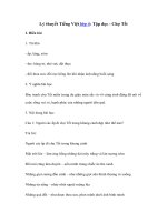 Tải Lý thuyết Tiếng Việt lớp 4: Tập đọc - Chợ Tết - Lý thuyết Tập đọc lớp 4