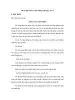 Tải Đề ôn tập học kì 2 môn Tiếng Việt lớp 3 - Đề 3 - Đề kiểm tra học kì 2 môn Tiếng Việt lớp 3 có đáp án