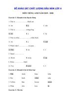 Tải Đề kiểm tra chất lượng đầu năm lớp 4 môn tiếng Anh năm 2019 - 2020 số 2 - Đề thi chất lượng đầu năm môn tiếng Anh lớp 4 có đáp án