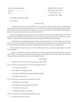 Tải Đề thi học kì 2 môn Tiếng Việt lớp 4 trường tiểu học Hồng Quang, Hải Dương năm 2016 - 2017 - Đề kiểm tra học kì 2 môn Tiếng Việt lớp 4 theo Thông tư 22