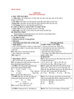 Tải Giáo án Hóa học lớp 12 bài 22: Luyện tập tính chất của kim loại - Giáo án môn Hóa học lớp 12