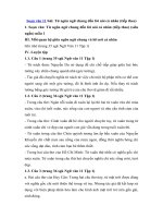 Tải Soạn bài Từ ngôn ngữ chung đến lời nói cá nhân ngắn gọn (tiếp theo) - Soạn bài lớp 11 ngắn nhất