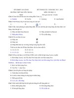 Tải Đề thi học kì 1 môn Tin học lớp 12 trường THPT Nguyễn Trung Trực, An Giang - Đề kiểm tra học kì I môn Tin học lớp 12 có đáp án