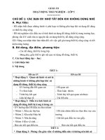 Tải Giáo án Hoạt động trải nghiệm lớp 5 - Học kì 1 - Giáo án điện tử lớp 5