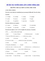 Tải Đề luyện thi vào lớp 6 môn tiếng Anh trường THCS & THPT Lương Thế Vinh, Hà Nội năm 2020 - Đề thi tiếng Anh vào lớp 6 có đáp án