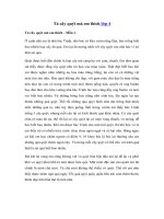 Tải Tả cây quýt mà em biết lớp 4, 5 - Bài văn mẫu Tả cây ăn quả hay