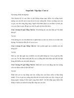 Tải Tập đọc lớp 4: Con sẻ - Giải bài tập SGK Tiếng Việt 4 tập 2