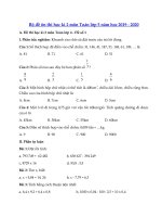 Tải Bộ đề thi học kì 2 môn Toán lớp 5 năm học 2019 - 2020 - Đề thi toán lớp 5 học kì 2