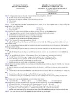 Tải Đề thi học kì 2 môn Sinh học lớp 12 trường THPT Yên Lạc 2, Vĩnh Phúc năm học 2015 - 2016 - Đề kiểm tra học kỳ II môn Sinh lớp 12 có đáp án