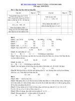Tải Đề thi Violympic Toán lớp 5 vòng 1 năm 2019 - 2020 - Đề thi giải toán qua mạng lớp 5 có đáp án