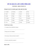 Tải Đề thi học kì 2 lớp 5 môn tiếng Anh năm 2019 - 2020 số 4 - Đề tiếng Anh lớp 5 học kì 2 có đáp án